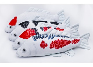 Gaby Koi Carp / Koi šaran